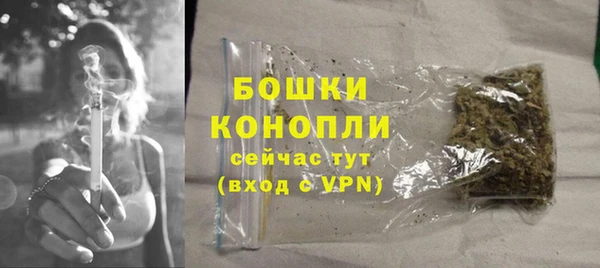 дживик Касимов