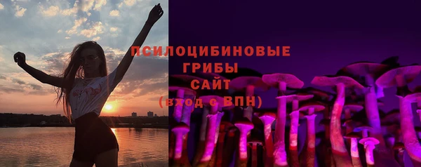 дживик Касимов
