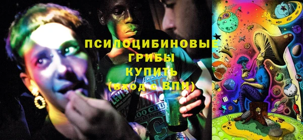 дживик Касимов