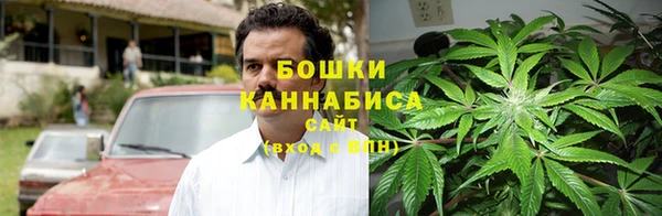 дживик Касимов